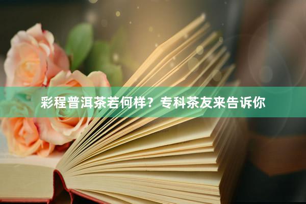 彩程普洱茶若何样？专科茶友来告诉你