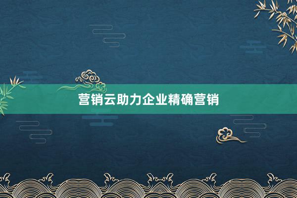 营销云助力企业精确营销