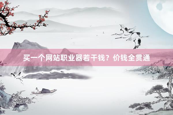 买一个网站职业器若干钱？价钱全贯通
